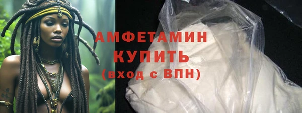 амф Бородино