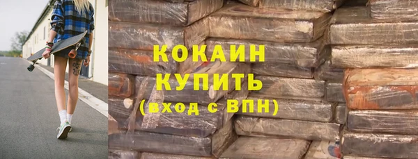 амф Бородино