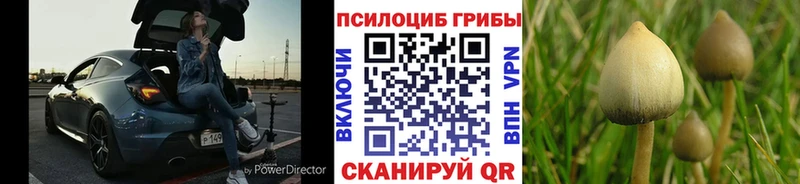 Псилоцибиновые грибы MAGIC MUSHROOMS  Первоуральск 